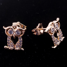 Cargar imagen en el visor de la galería, Hollow clear eye Owl with clear crystals