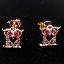 Cargar imagen en el visor de la galería, Hollow red eye Owl with multi color crystals